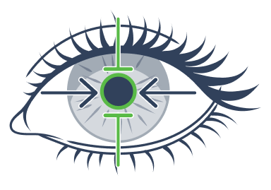 Carbachol and brimonidine MOA graphic